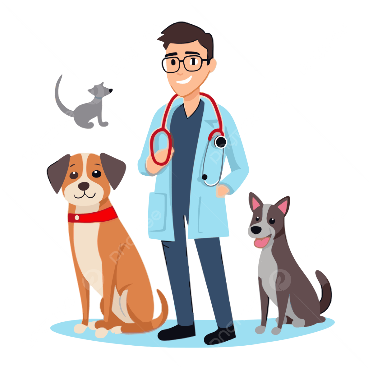 veterinarian